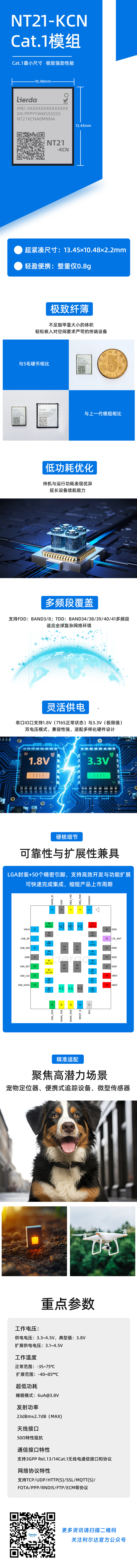 NT21长图.jpg